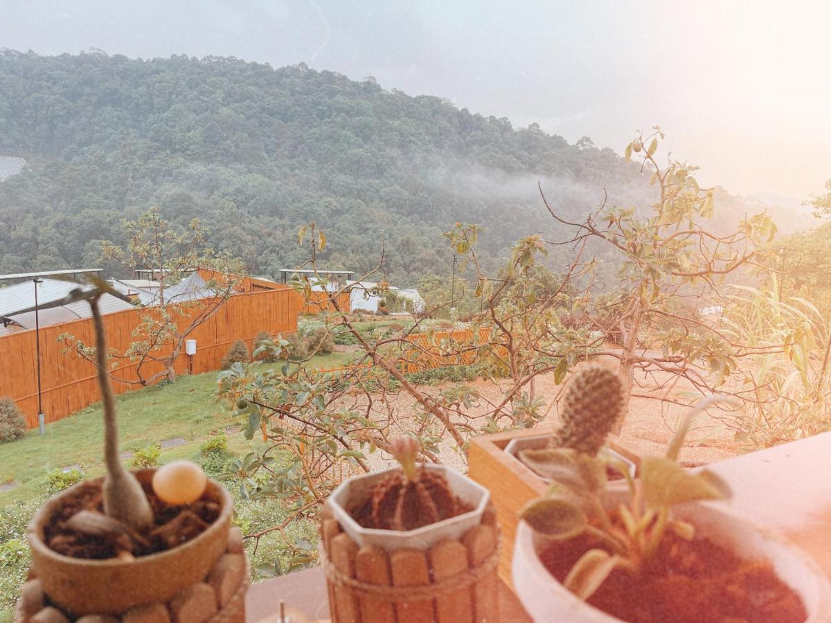 Phu Morinn Camping ม่อนแจ่ม Mon Jam Esterno foto